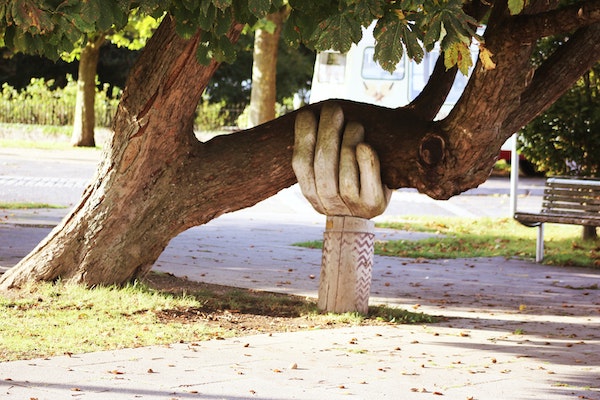Tree being supported by a hand sculpture. Photo Neil Thomas on Unsplash